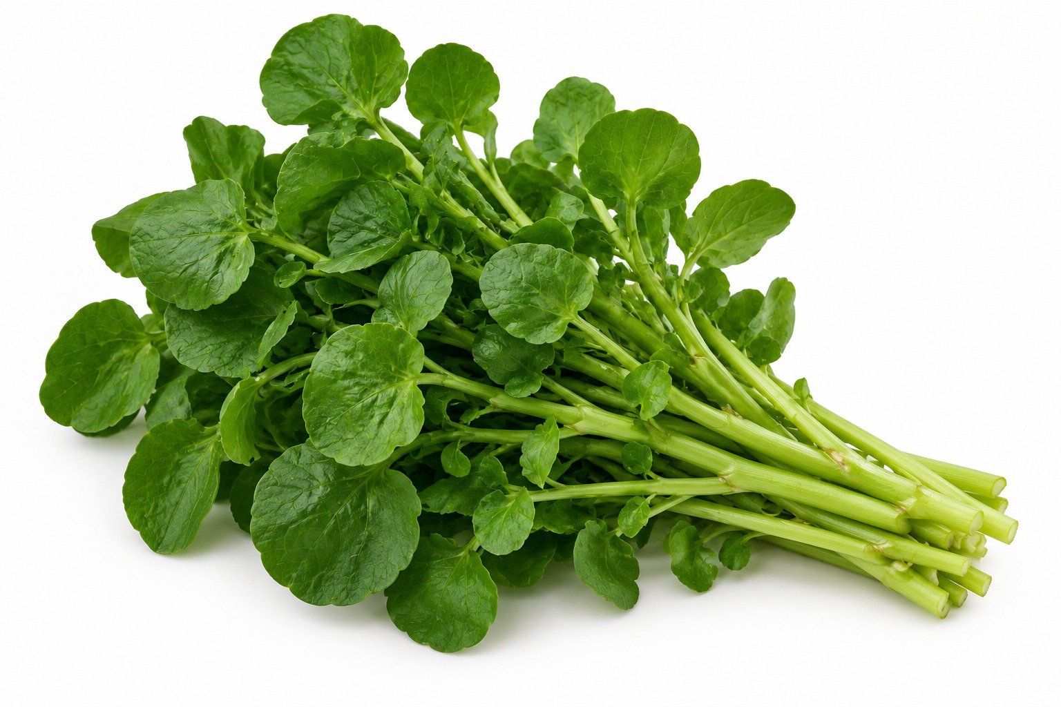 Watercress