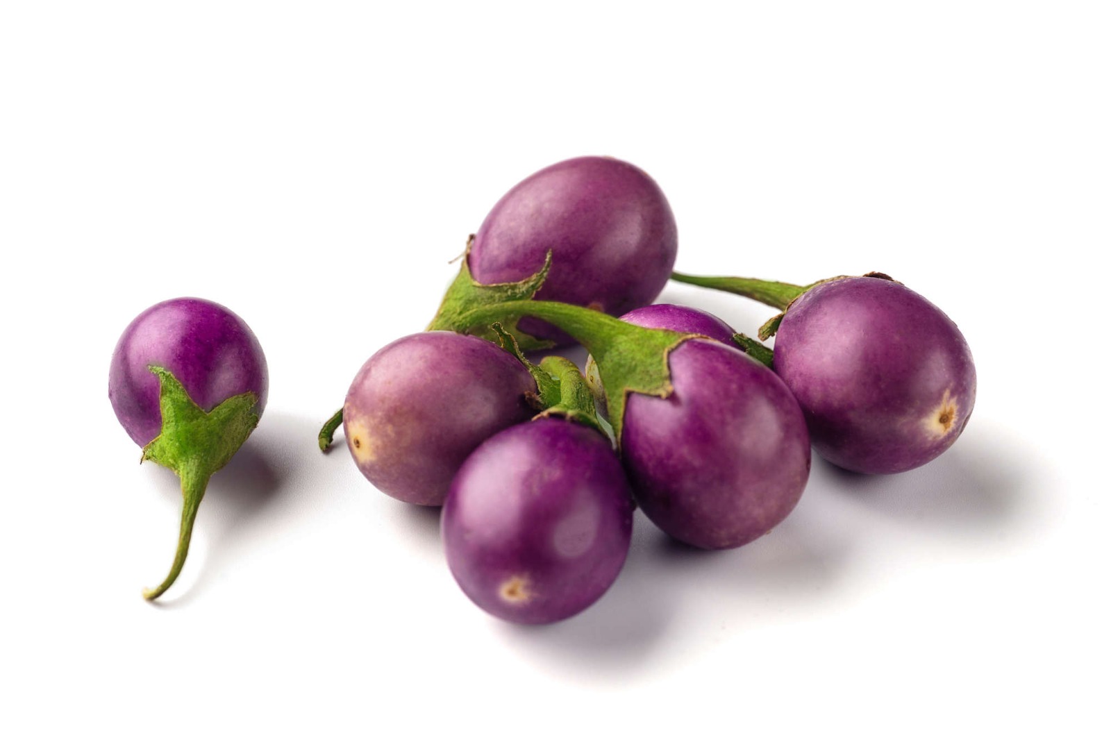 Indian eggplant