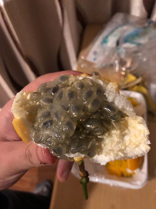 Passion Fruit Pulp