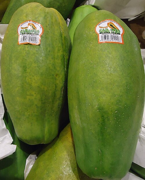 Maradol Papaya