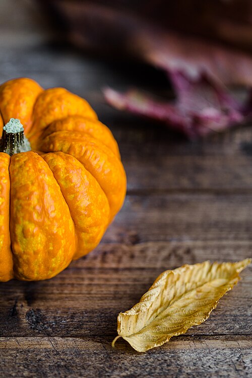 Baby Pumpkin