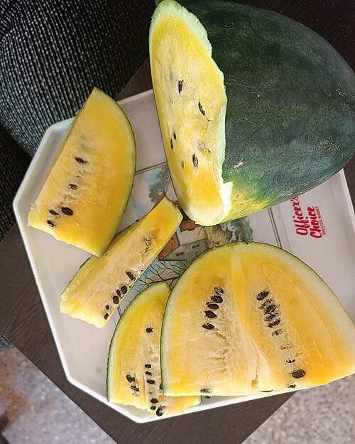 Yellow Watermelon