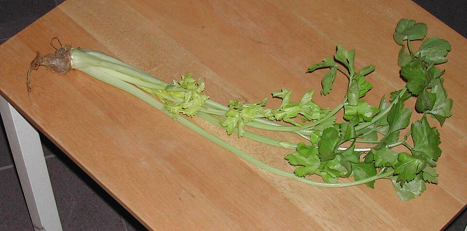 Chinese Celery