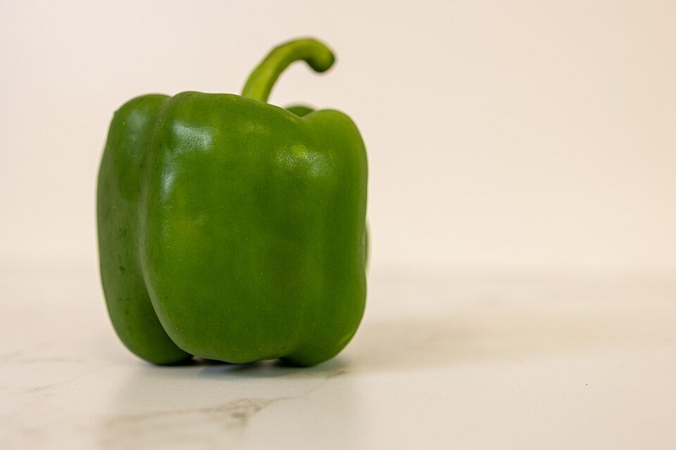 Green Bell Pepper