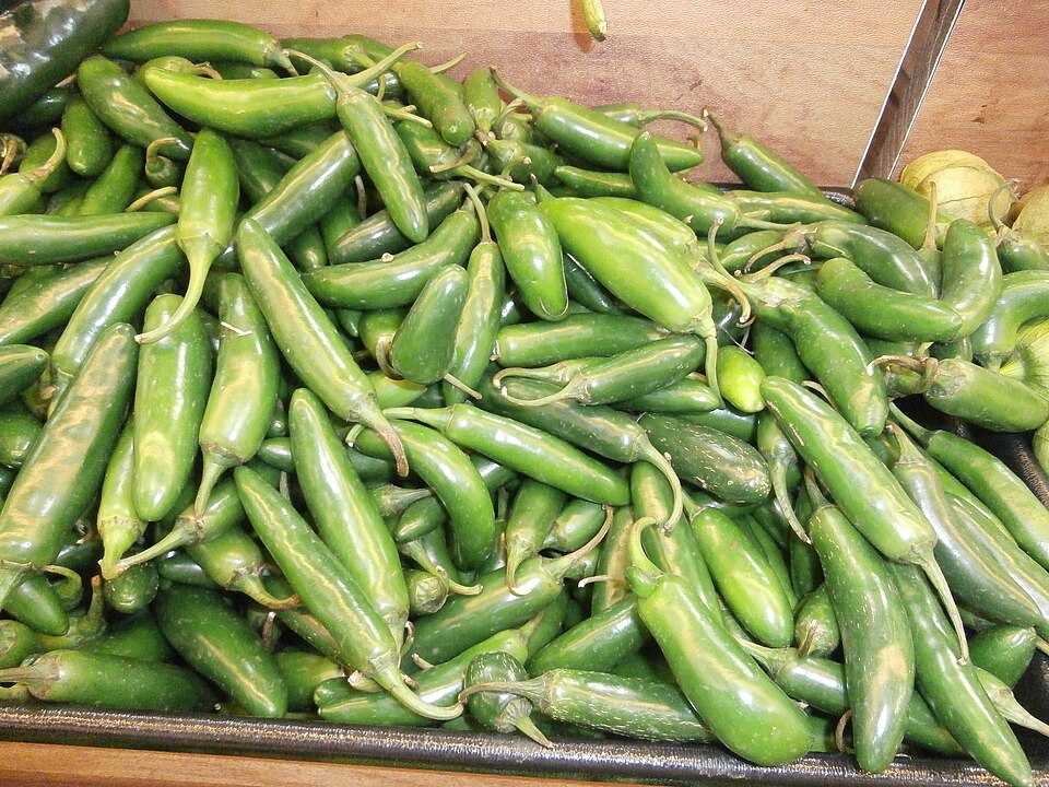 Jalapeno Chili