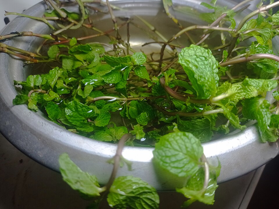 Mint
