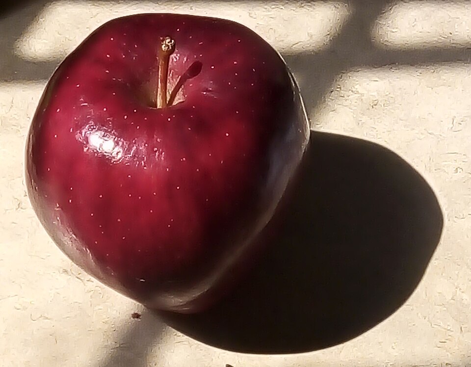 Red Delicious Apple