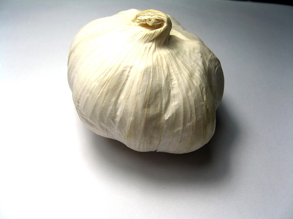 White Garlic
