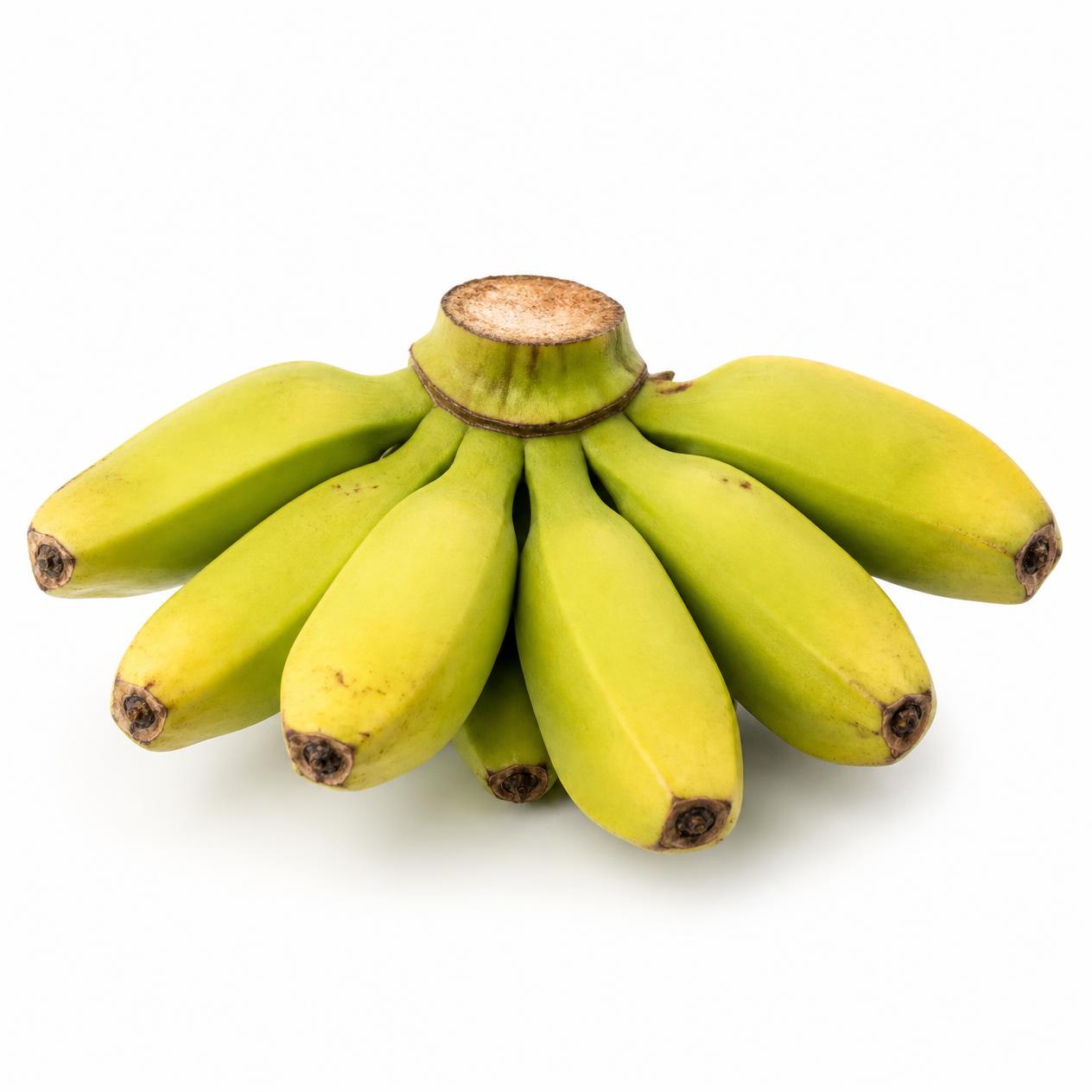 Burro Banana