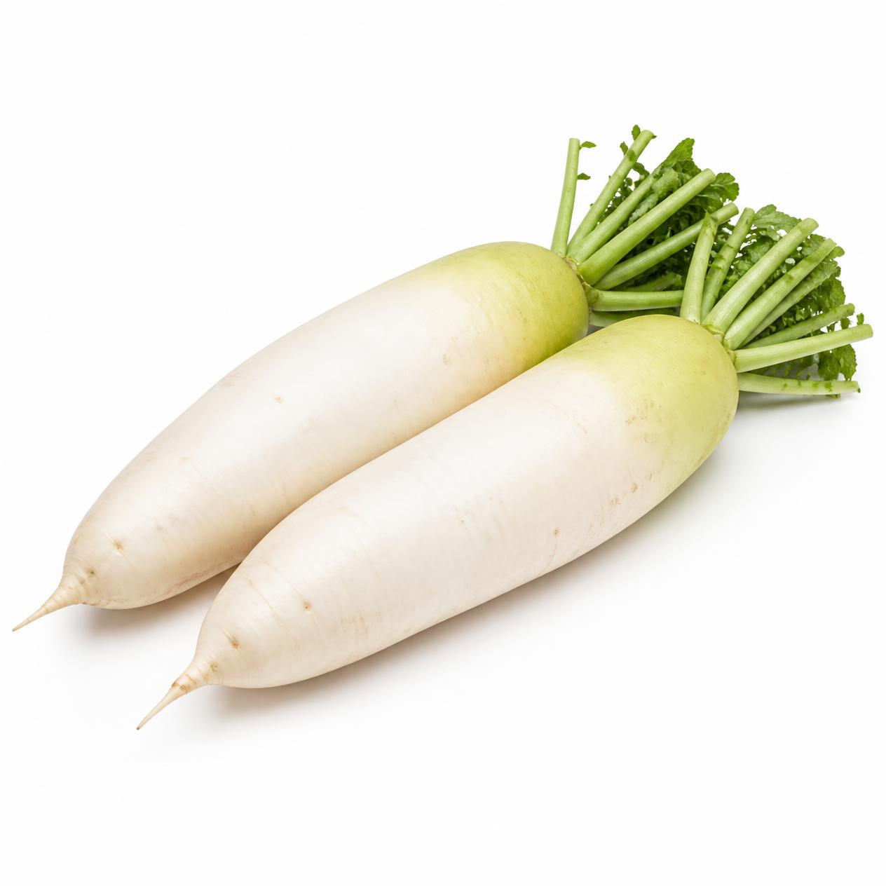 Chinese daikon radishes